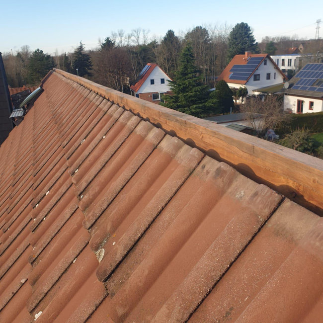 dachsanierung4