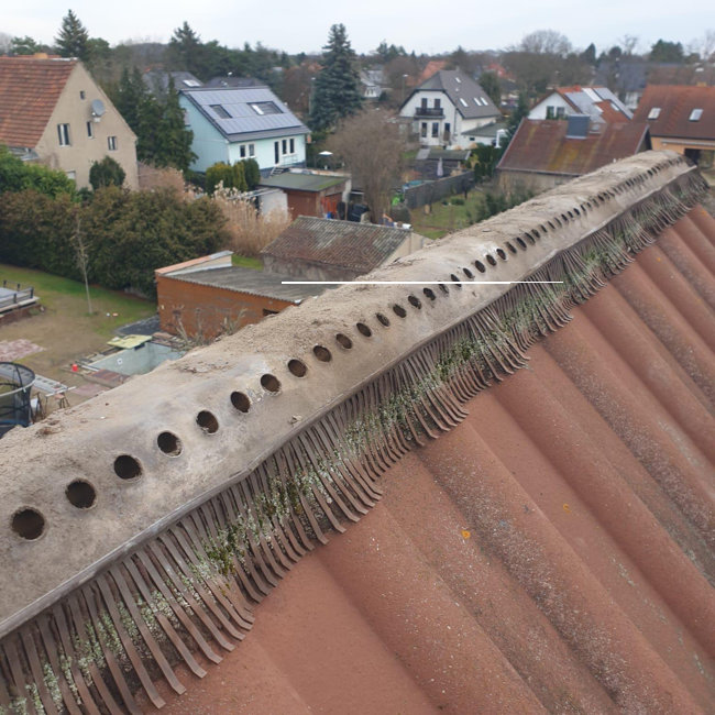 dachsanierung5
