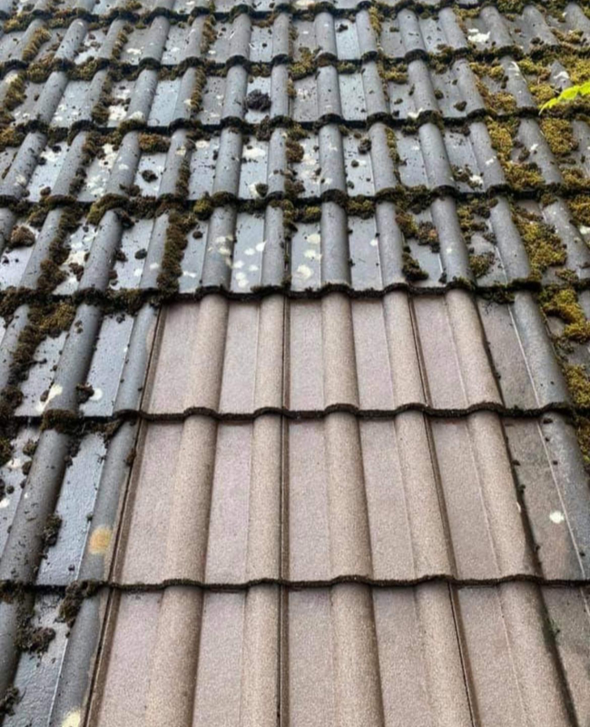 Dachreinigung